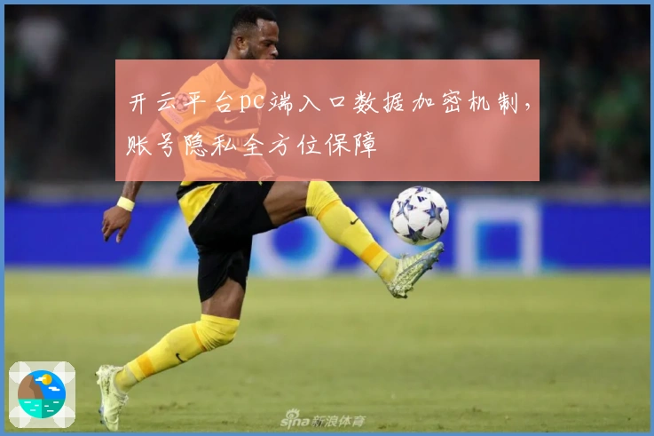 开云平台pc端入口数据加密机制，账号隐私全方位保障