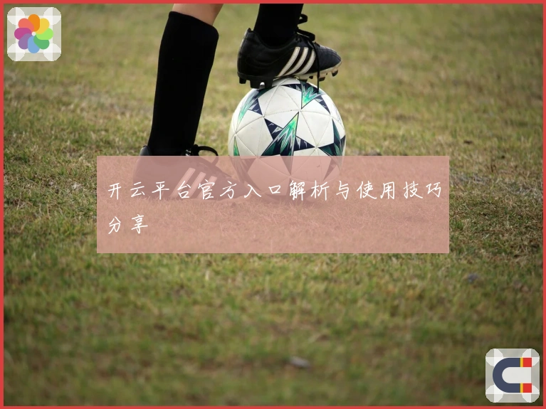 开云平台官方入口解析与使用技巧分享